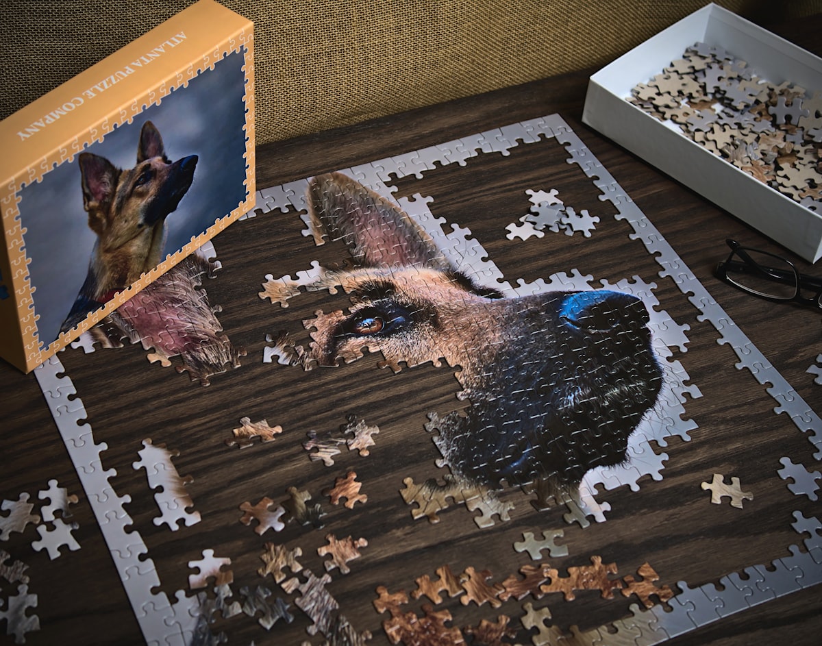 German Shepherd puppy working on a puzzle toy, focused and engaged